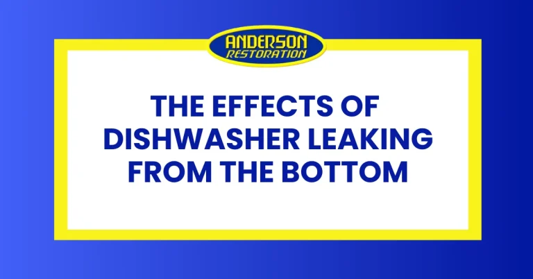 an infographic for featured image that describe the effects of dishwasher leaking from the bottom