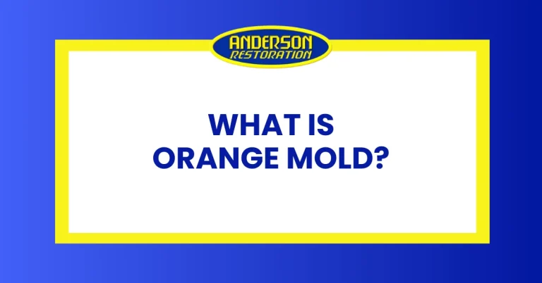 an infographic that ask what is orange mold. this is for Anderson restoration