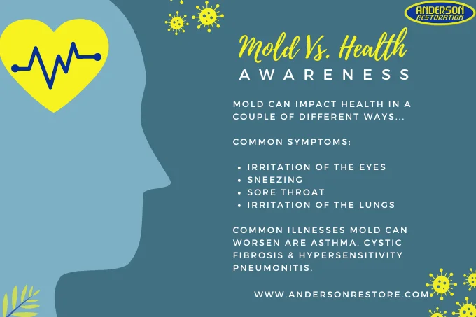 Mold is dangerous as it can cause allergic reaction to those who are susceptible to it.