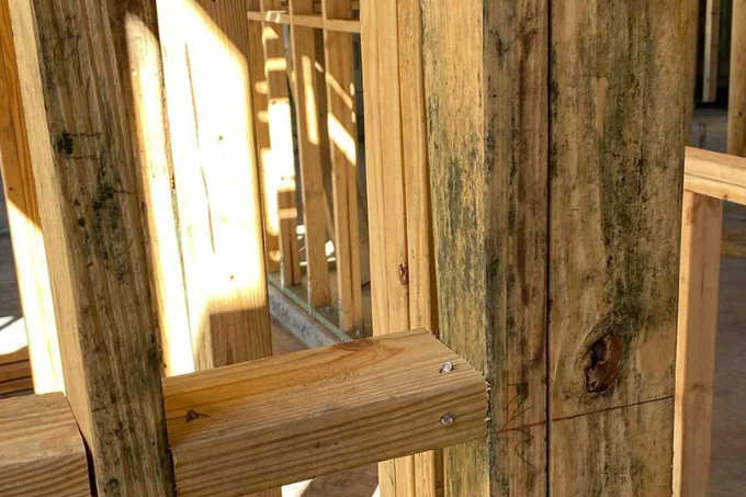 mold in wall plywood, you usually aren't about to detect those unless you have a professional mold remediation in Texas, and in Houston and surrounding areas