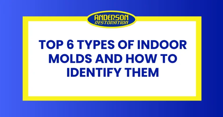 an infographic about the 6 types of molds and how to identity them, featured image by Anderson Restoration