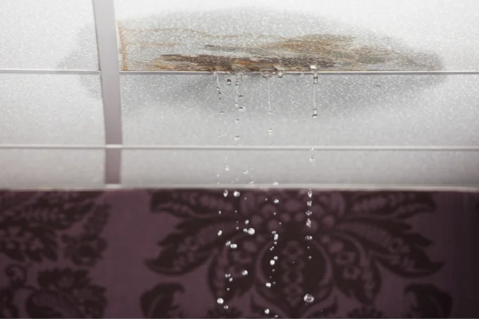 you have a water leaking from the ceilings on a residential home in houston texas
