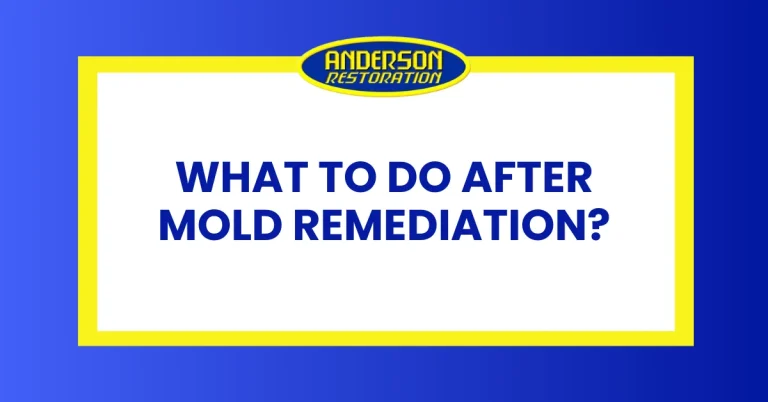an Anderson Restoration branded image on what to do after a mold remediation