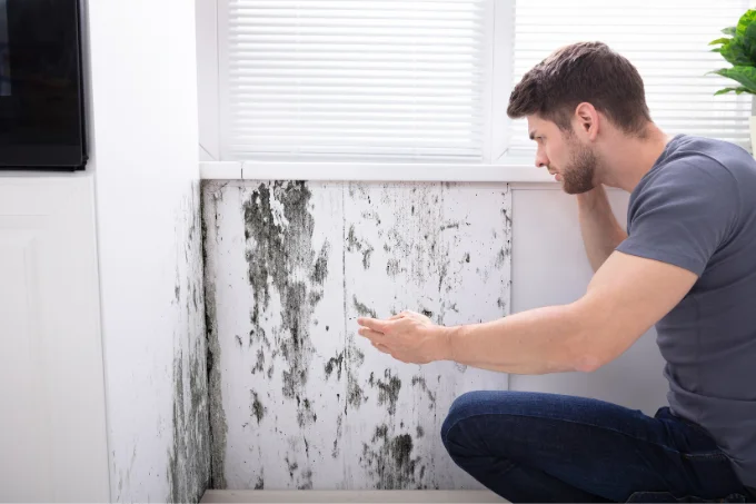what to do after mold remediation in Houston, tx? is what most be wonder, the answer is quit simple. Have good ventilation, listen to your restoration team of how to keep mold out, and reduce and eliminate any source of moisture.