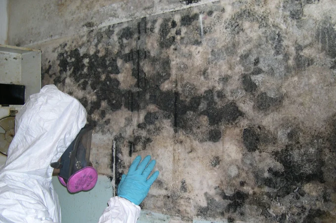 the mold remediation company in Houston named Anderson Restoration is doing a mold remediation on a home. mold remediation houston