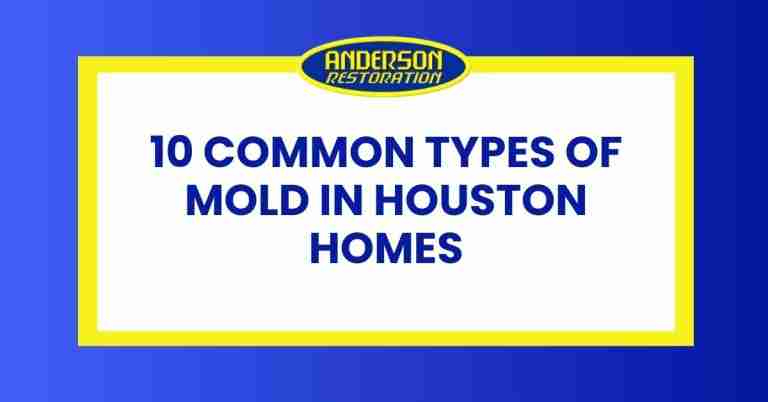 an infographic for the blog written by experts at Anderson restoration LLC called, "10 Common Types of Mold in Houston Homes."