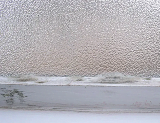 A picture illustration of how Cladosporium Mold looks like in a home