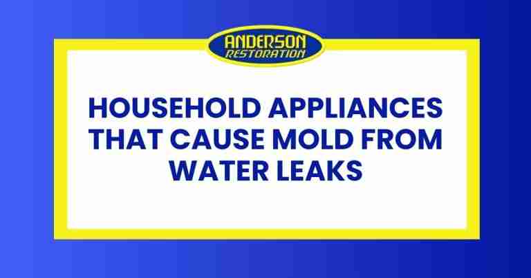 Promotional graphic for Anderson Restoration's blog post on household appliances that can cause mold from water leaks.