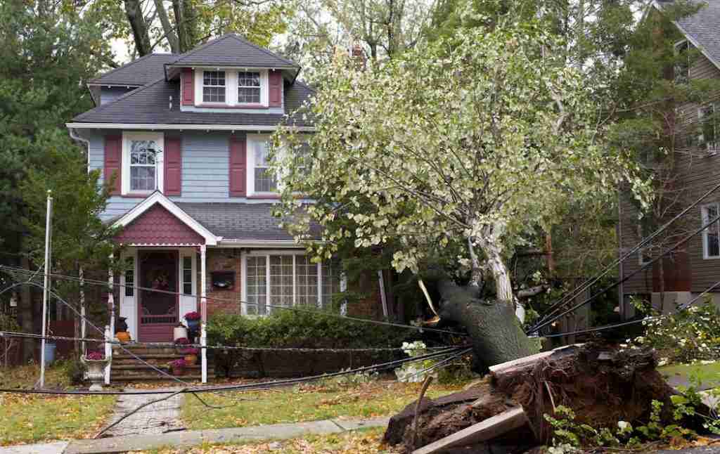 A big tree that has recently fallen by a strong storm that hit houston, the tree is hanging by powerlines and on the house.