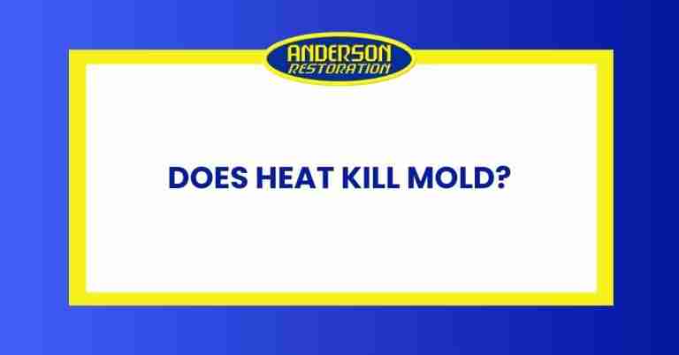 an infographic for the blog "Does Heat Kill Mold?" written by experts at Anderson restoration LLC