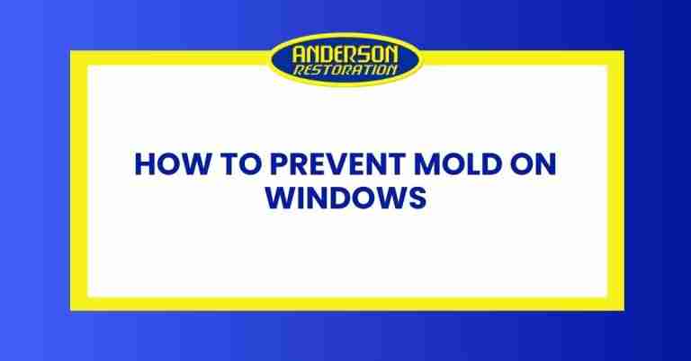 an infographic for the blog "How to Prevent Mold on Windows" written by experts at Anderson restoration LLC