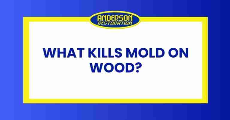 This is a featured image created by anderson restoration experts for the blog What Kills Mold on Wood