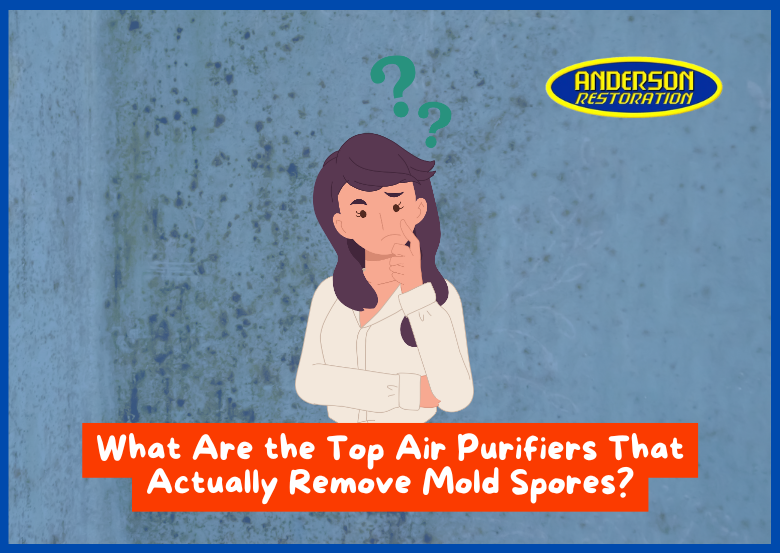 Struggling with mold and fungus? This image answer curious question about the Top Best Air Purifiers That Actually Remove Mold Spores. top 3 air purifiers for mold