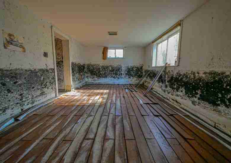 what kills mold on wood? there's a lot of things that can kill mold on wood, like vinegar, baking soda and mold but contacting a mold inspection and removal company is better than all of those options