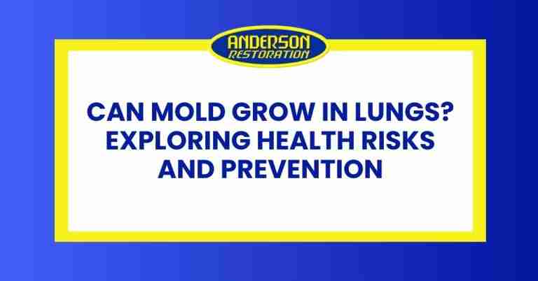 a featured infographics image that represents the blog "Can Mold Grow in Lungs Exploring Health Risks and Prevention" written by Anderson Restoration experts