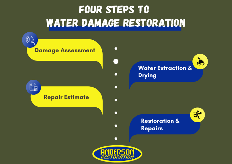 Infographics that list the most common 4 steps to water damage restoration for the blog "How Long Does Water Damage Take to Show?"