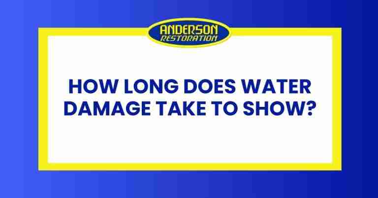 a featured infographics image that represents the blog "How Long Does Water Damage Take to Show" written by Anderson Restoration experts