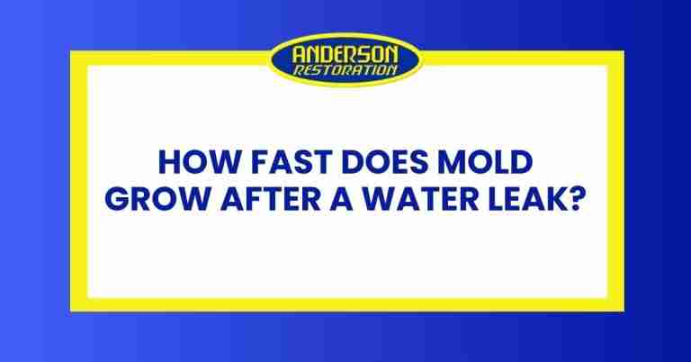 a featured infographics image that represents the blog "How Fast Does Mold Grow After a Water Leak" written by Anderson Restoration experts