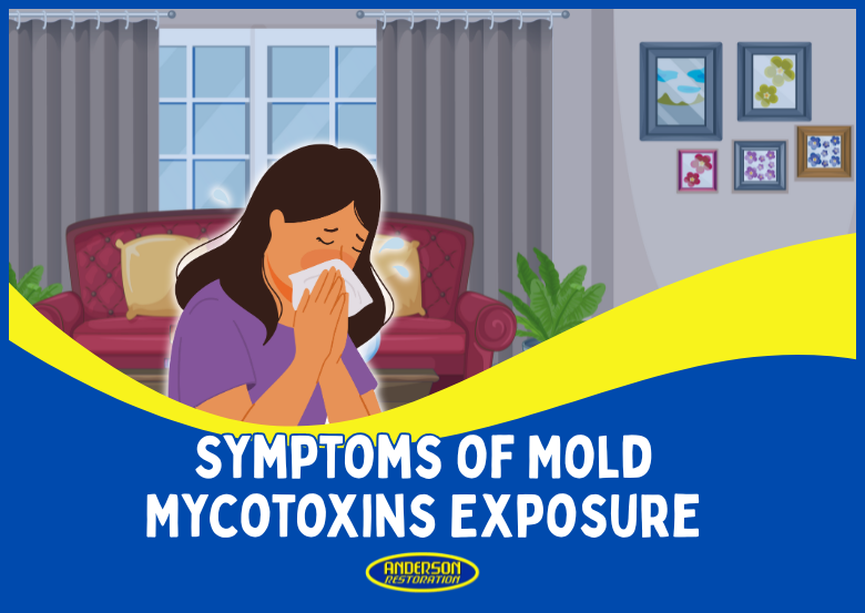 A title image for section Symptoms of Mold Mycotoxin Exposure for the blog titled How To Get Rid Of Mycotoxins In Your Home. The title image illustrates a woman sneezing while inside her house.