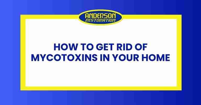 a featured infographics image that represents the blog "How to get rid of mycotoxins in your home" written by Anderson Restoration experts