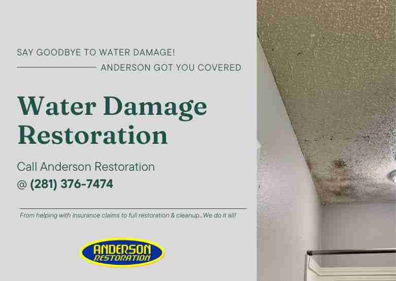 Water Damage Restoration Experts. This infographics represents the blog "How Fast Does Mold Grow After a Water Leak?"