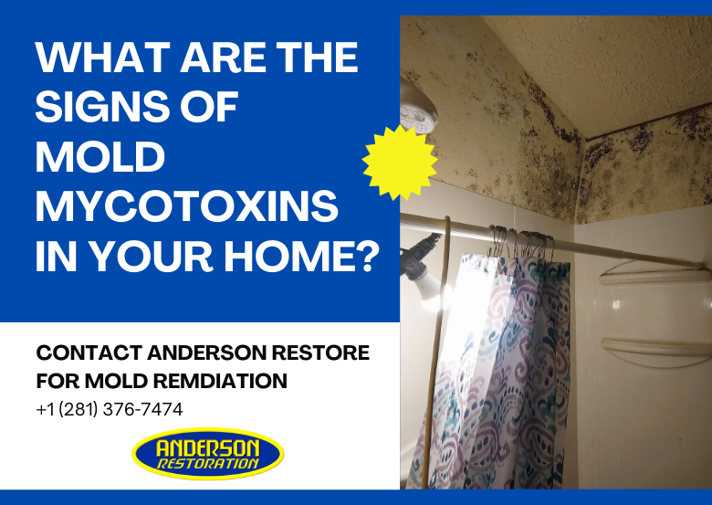 Moldy bathroom ceiling with text asking about signs of mold mycotoxins in the home for the blog "What Are the Signs of Mold Mycotoxins In your Home". This is for the blog article how to get rid of mycotoxins in home.
