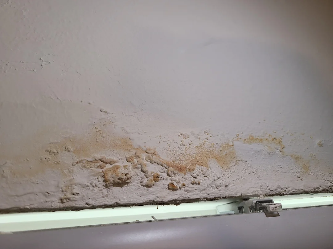 Ceiling with discoloration and bubbling paint, indicating water damage and need for mold remediation.