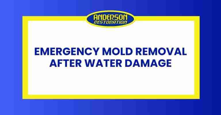 a featured infographics image that represents the blog "Emergency Mold Removal After Water Damage" written by Anderson Restoration experts