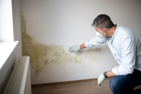 A man wearing a mask and gloves examines a wall with visible mold and water damage, indicating possible hidden mold growth.