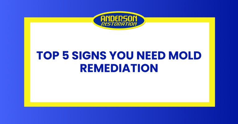 a featured infographics image that represents the blog "Top 5 Signs You Need Mold Remediation" written by Anderson Restoration experts