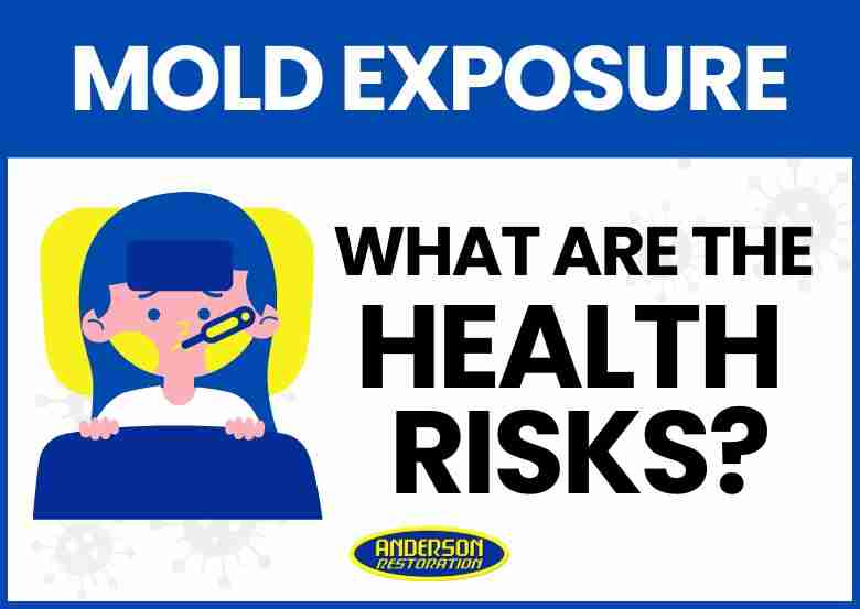 Illustration of a sick person in bed with a thermometer, next to bold text reading 'Mold Exposure: What Are the Health Risks?' and Anderson Restoration logo below.
