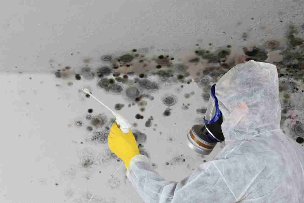 A man wearing a mask and gloves examines a wall with visible mold and water damage, indicating possible hidden mold growth.
