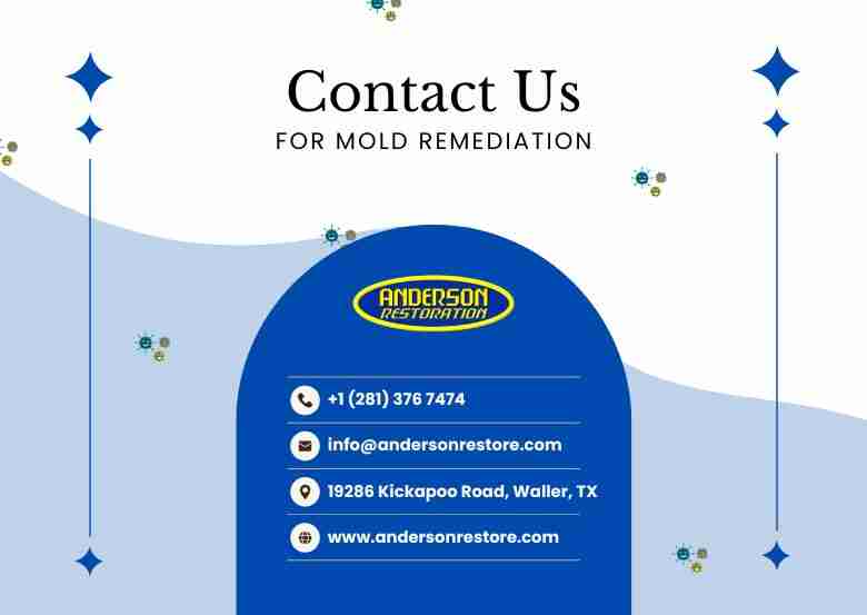 Contact information for Anderson Restoration mold remediation services, including phone, email, address, and website. This infographics is made for the blog DIY mold cleanup