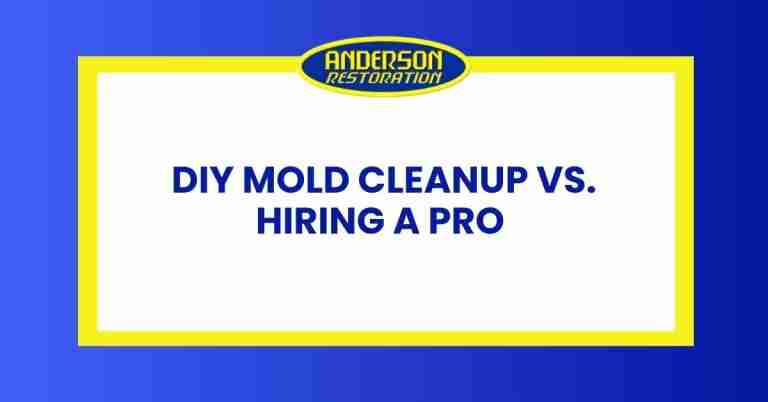 a featured infographics image that represents the blog "DIY Mold Cleanup vs. Hiring a Pro" written by Anderson Restoration experts
