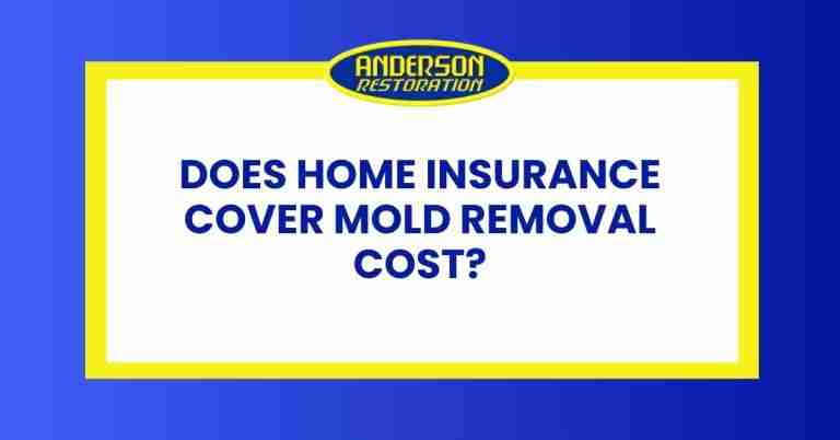 a featured infographics image that represents the blog "Does Home Insurance Cover Mold Removal Cost" written by Anderson Restoration experts