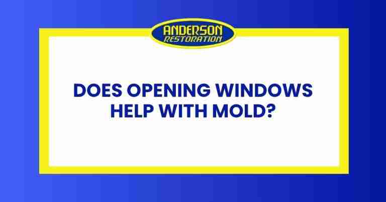 a featured infographics image that represents the blog "Does Opening Windows Help with Mold" written by Anderson Restoration experts