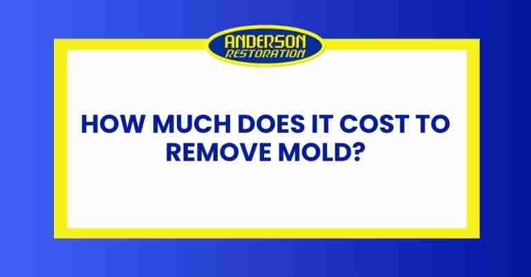 a featured infographics image that represents the blog "How Much Does It Cost To Remove Mold" written by Anderson Restoration experts