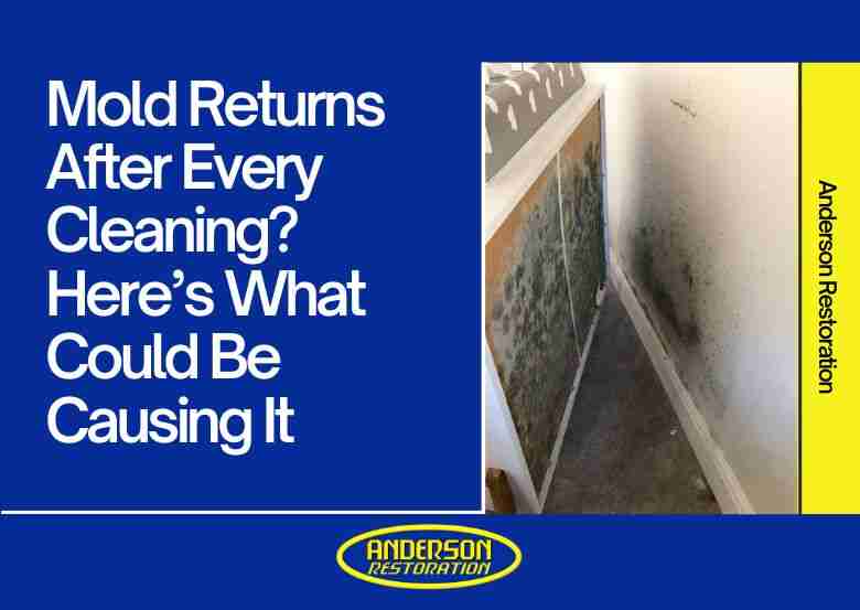 Wall with recurring mold growth beside a bed, alongside text about causes of mold returning after cleaning. This inforgraphics represents the blog "Why Does Mold Keep Coming Back"