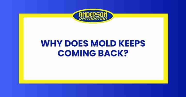 a featured infographics image that represents the blog "Why Does Mold Keeps Coming Back" written by Anderson Restoration experts