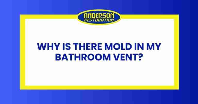 a featured infographics image that represents the blog "Why Is There Mold In My Bathroom Vent" written by Anderson Restoration experts