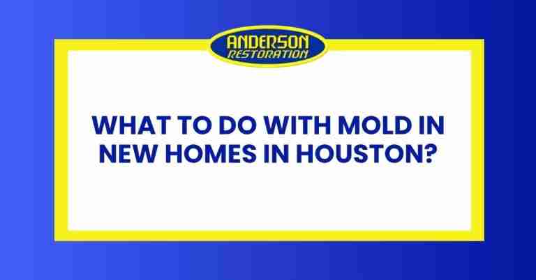a featured infographics image that represents the blog "What to Do With Mold in New Homes in Houston" written by Anderson Restoration experts