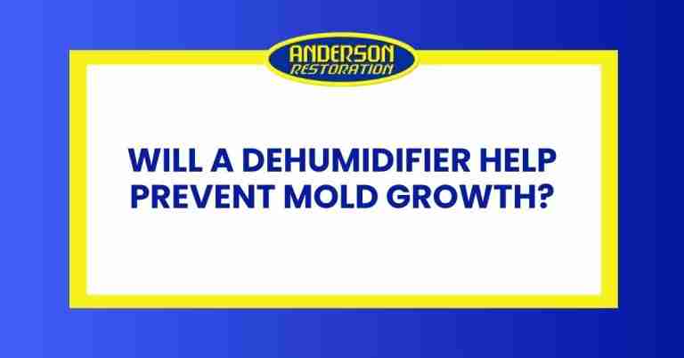 a featured infographics image that represents the blog "Will a Dehumidifier Help Prevent Mold Growth" written by Anderson Restoration experts