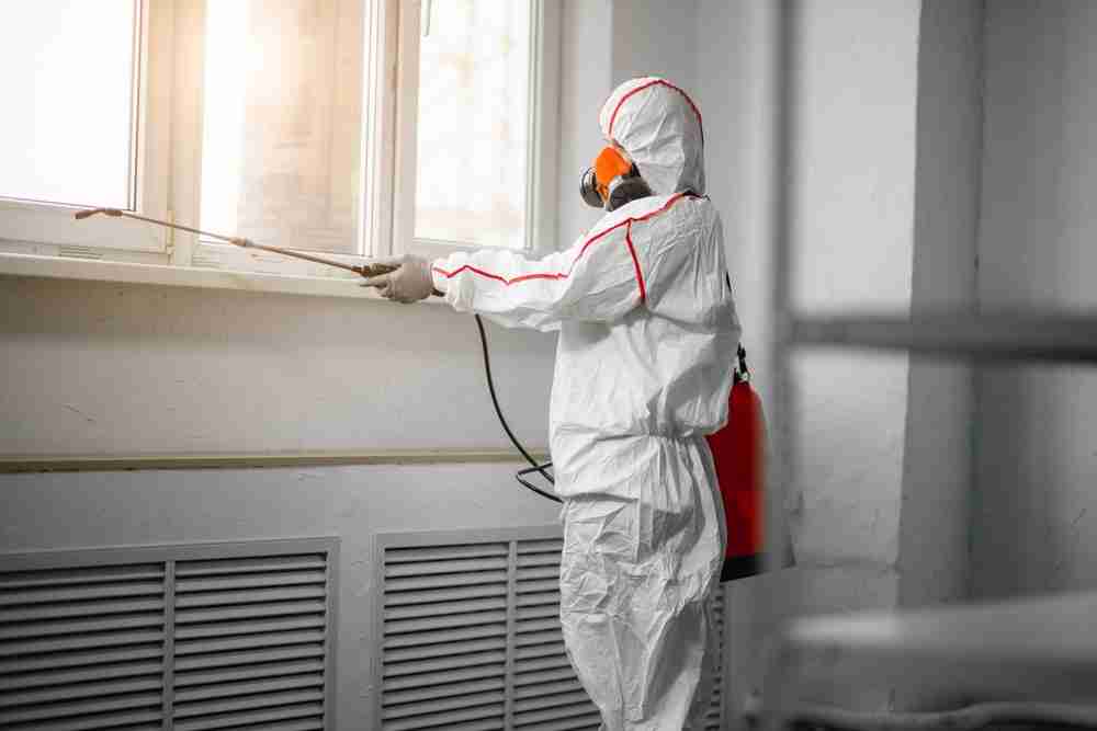 Professional in protective suit spraying for mold removal in waller, tx near window indoors.