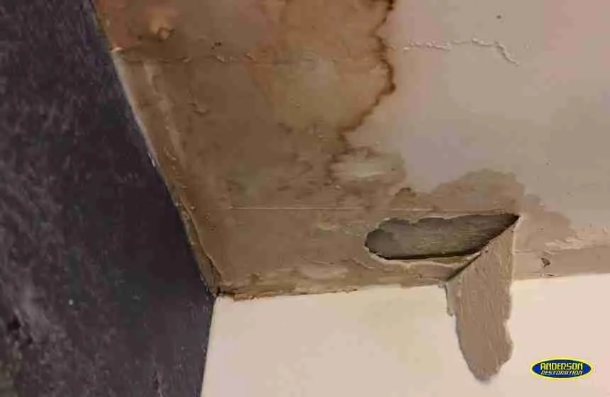 Black mold spreading across an interior wall, showing the need for mold removal after water damage in a residential property.