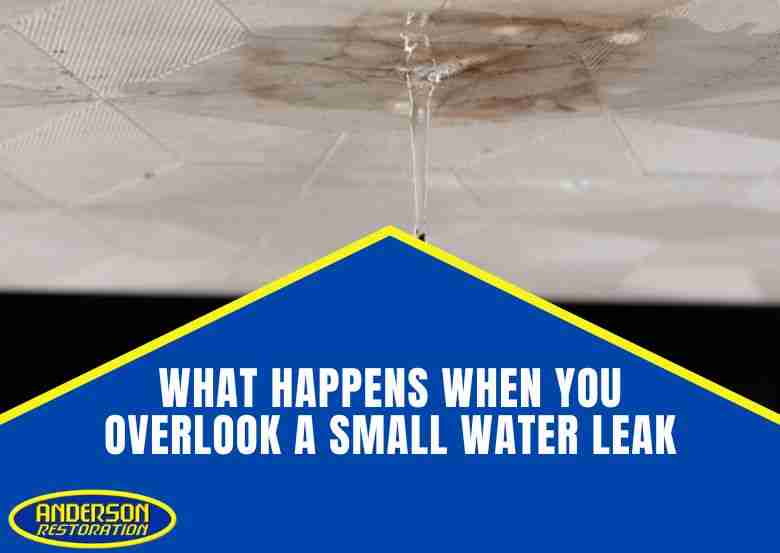 Illustration of water dripping from a pipe with the text 'What Happens When You Overlook Water Leaks' — showing consequences like mold growth, structural damage, and costly repairs.