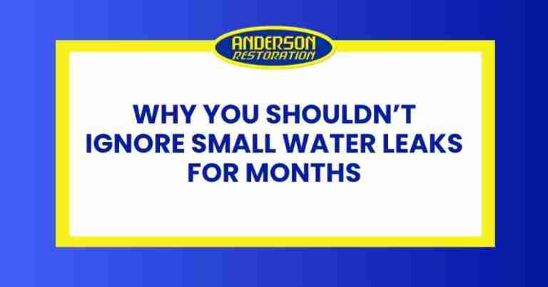a featured infographics image that represents the blog "Why You Shouldn’t Ignore Small Water Leaks for Months" written by Anderson Restoration experts