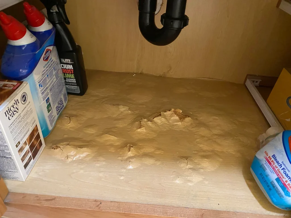 Sample image of water damage under the sink