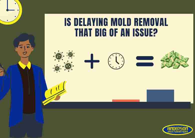 Illustration of a person teaching that mold plus time equals higher costs, with the text “Is delaying mold removal that big of an issue?” and the Anderson Restoration logo.