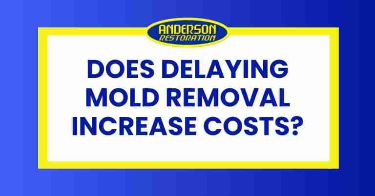 Anderson Restoration graphic with bold text asking, “Does delaying mold removal increase costs?” on a blue and yellow background.
