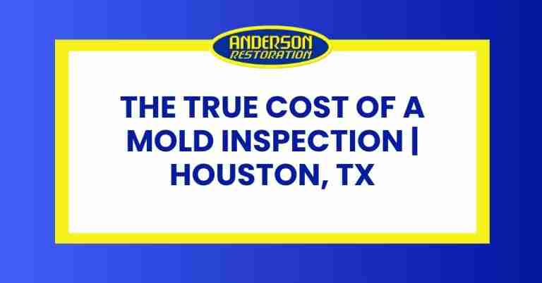 The True Cost of a Mold Inspection in Houston, TX – Anderson Restoration graphic with bold blue and yellow design.